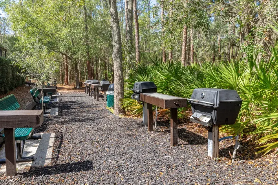 Barbecue Grills
