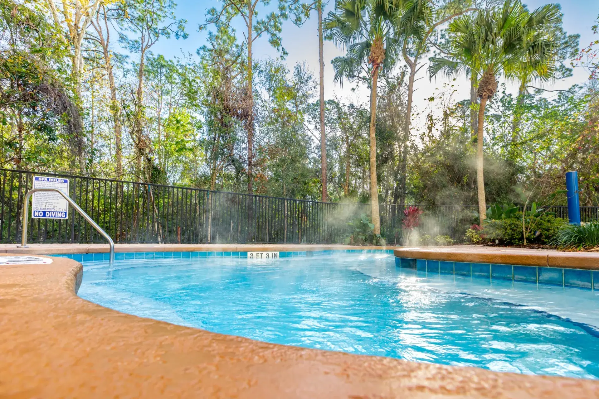 Steam rising from a heated pool surrounded by trees
