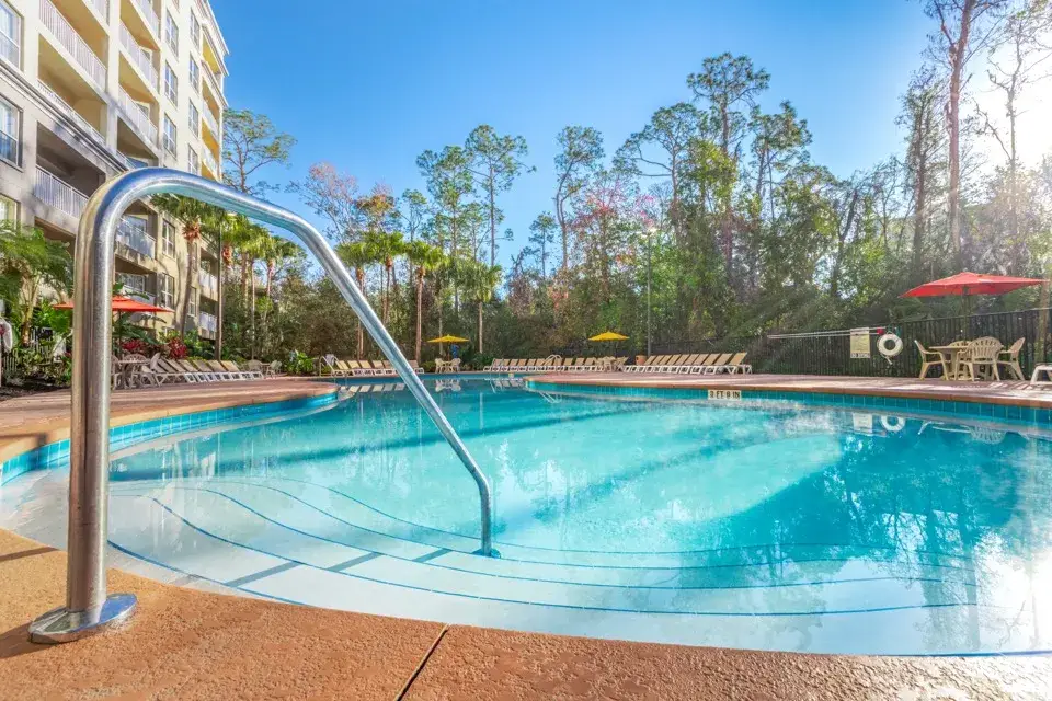 Resort pool area surrounded by palm trees