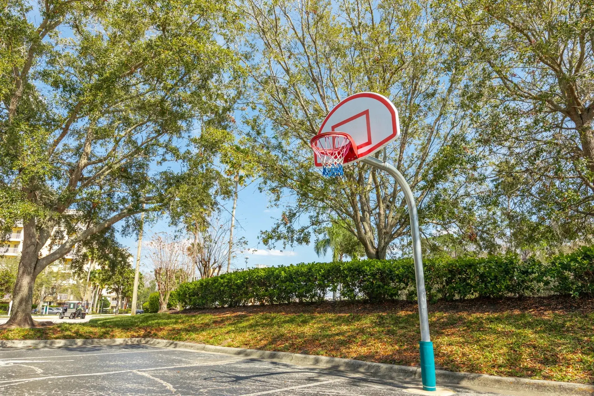 Basketball hoop by Building 4
