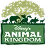 Disney Animal Kingdom